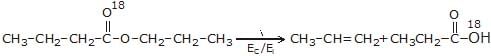 Polyhalogen Compounds | Chemistry Class 12 - NEET